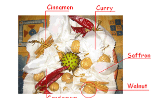 Annotation Pilot screenshot 1