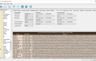 Directory Lister Pro screenshot 2