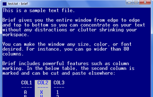Brief text editor screenshot 1