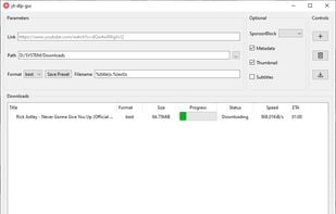 dsymbol&#39;s yt-dlp-gui screenshot 1