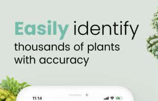Plant ID Match screenshot 1