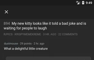 Dawn for Reddit screenshot 2