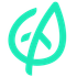 TravelMint icon