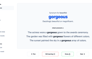 LanguageBeast screenshot 1