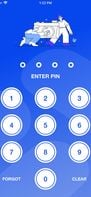This is the pic view where you enter the pin to unlock app