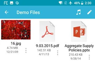 FE File Explorer screenshot 2
