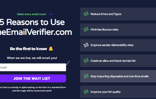 The Email Verifier screenshot 2