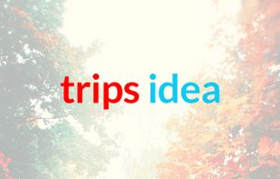 Tripsidea