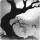 Spooky Forest Live Wallpaper icon