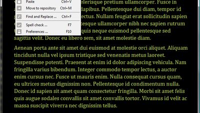 The interface, windowed.