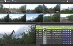 Vidine screenshot 1