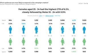 Age-Gender Segmentation Analysis
