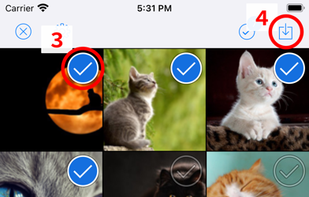 ImageDrain screenshot 2