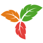 TriliumDroid icon