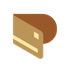 Paisa icon
