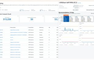 Industry leading ML backed proactive rightsizing and commitment recommendations with engineering tasks, multiple outcome options, and details to justify them.
