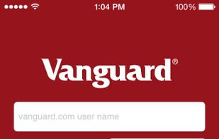 Vanguard screenshot 1