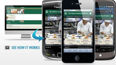 Culinary Institute of Arts powered by Bluetrain Mobile