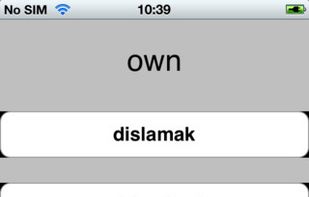 LearnWord screenshot 1