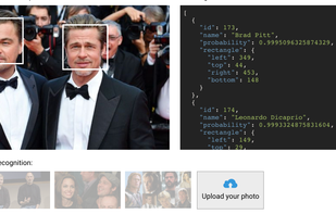 Luxand.Cloud screenshot 1