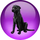 Black Lab NetOS icon