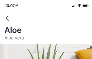 Jungled screenshot 1