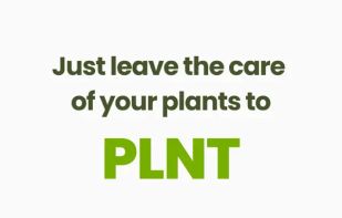 PLNT - Plant & Tree Identifier screenshot 1