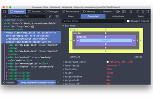 Firefox Developer Tools screenshot 1