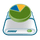 DiskSavvy icon