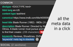 META SEO Inspector screenshot 1