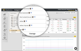 NapoleonCat screenshot 3