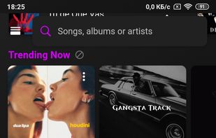 Offline Music Player for Android screenshot 1