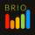 BRIO Icon