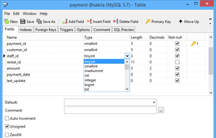 Navicat screenshot 1