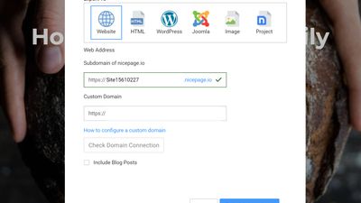 Nicepage Export Options