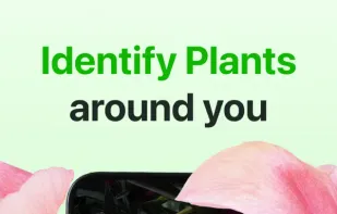 Botan: Plant Identifier screenshot 1