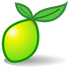 LimeSurvey icon