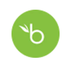 bambooHR icon