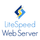 LiteSpeed Web Server (LSWS) icon