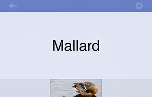 Flashcards Deluxe screenshot 1