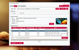 Professional mode showing format information before downloading