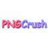 pngcrush icon