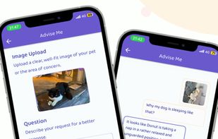 Petvise AI screenshot 2