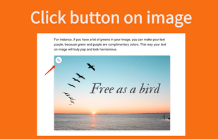 Translate Image screenshot 1