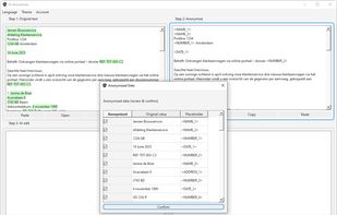 Automatically detects personal data for anonymization