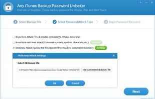 Any iTunes Backup Password Unlocker screenshot 2