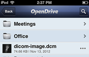 OpenDrive screenshot 2