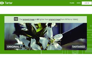 Tartar.io screenshot 1