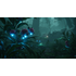 Wildberry icon