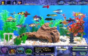Fish Tycoon screenshot 1